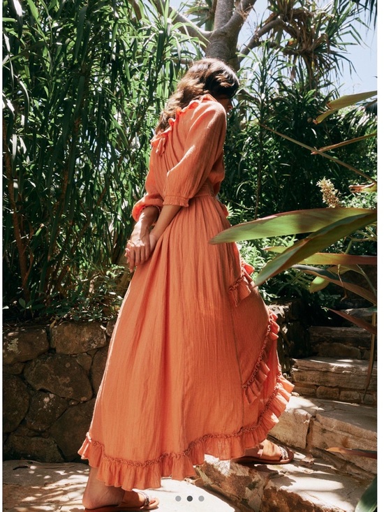 Free People Rust Ruffle-Front Maxi Dress - Picture 6 of 7